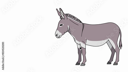 Gray donkey illustration standing calmly, clean white background. Charming donkey illustration depicts a docile farm animal with long ears, perfect for children's books and educational content.