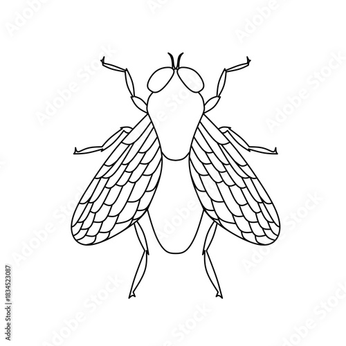 Fly line icon, outline vector sign, linear pictogram isolated on white. Symbol, logo illustration