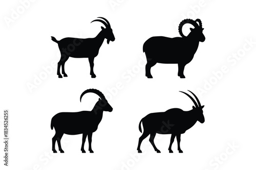 Four black silhouettes of different goat breeds standing still