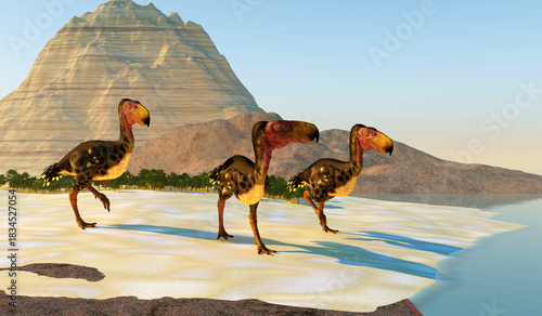 Kelenken Birds on Beach - Kelenken is an extinct genus of giant flightless predatory birds that are called 