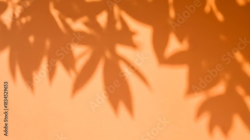 Warm Sunlight Casts Leaf Shadows on Peach Wall