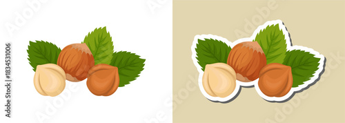 Hazelnut illustration and sticker – natural nut design