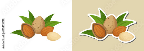 Almond nut illustration and sticker – healthy food design