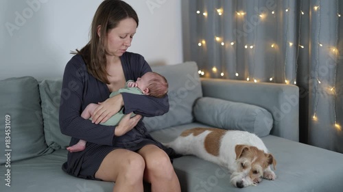 A woman is busy with a baby. A mother is rocking the baby in her arms. A girl is soothing the baby. A dog is lying on a bed. A Jack Russell Terrier is watching the newborn