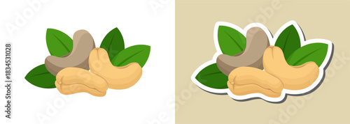 Cashew nut illustration and sticker – minimalist food art
