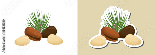 Pine nut illustration and sticker – natural seed design