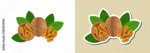 Walnut illustration and sticker – organic nut artwork