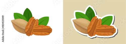 Pecan nut illustration and sticker – gourmet nuts design