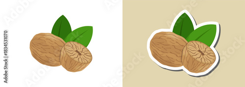 Nutmeg illustration and sticker – aromatic spice nut design