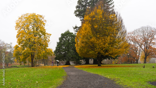Autumn in Lake Sacajawea Park, Longview, Washington	
