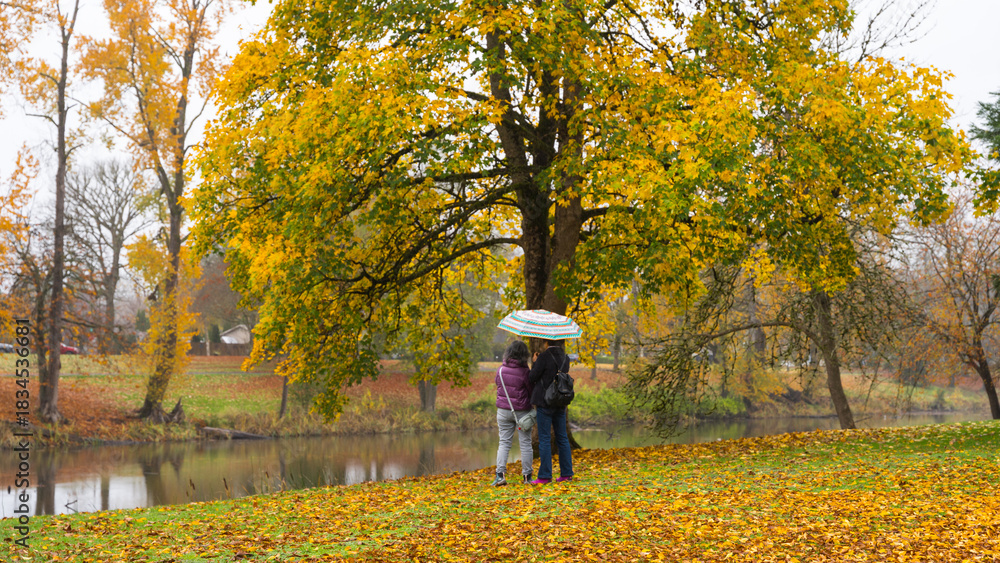 Fototapeta premium Autumn in Lake Sacajawea Park, Longview, Washington 