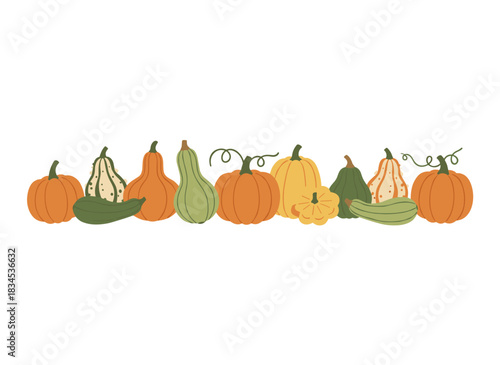 A collection of pumpkins and autumn vegetables in orange, green, and red, harvested for Halloween and Thanksgiving, featuring natural gourds as October season food, rendered as a flat vector