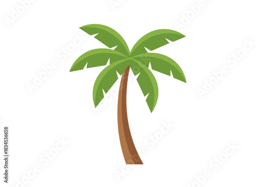 A palm tree with trunk and leaf, an exotic tropical summer plant with green foliage, depicted as a flat cartoon vector illustration on a white background