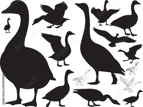 Goose Silhouettes