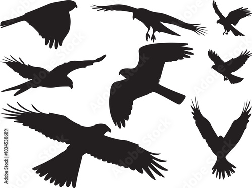 Kite Bird Silhouettes