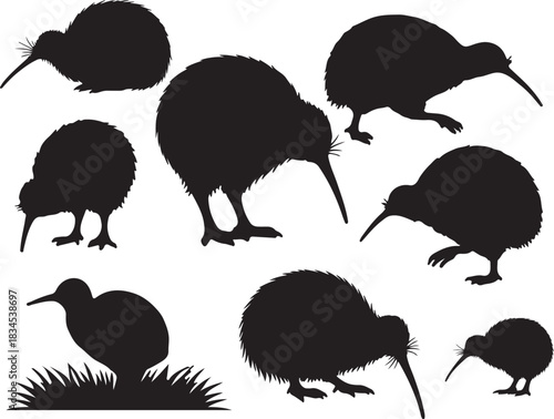 Kiwi Bird Silhouettes