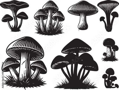 Mushroom Silhouettes
