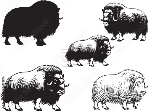 Muskox Silhouettes