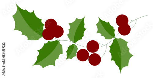 A festive holly branch illustration with spiky, two-tone green leaves and clusters of dark red berries.