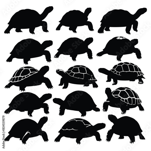 Turtle and tortoise silhouettes set in various poses design
