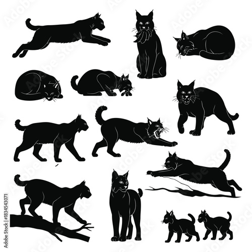 Lynx and bobcat silhouettes set: wild cats in various action poses vector.