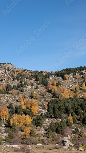 autumn in the mountains