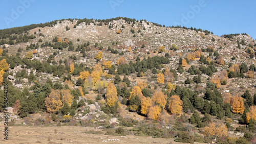 autumn in the mountains