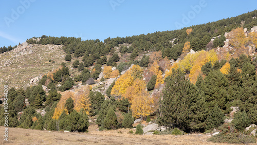 autumn in the mountains