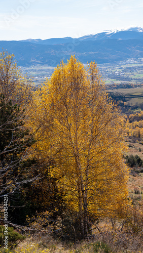 autumn in the mountains
