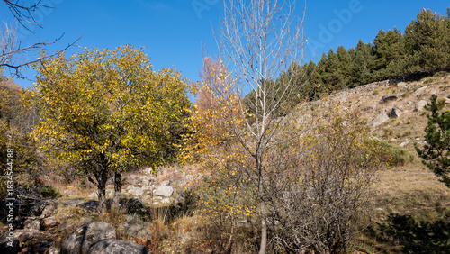 autumn in the mountains