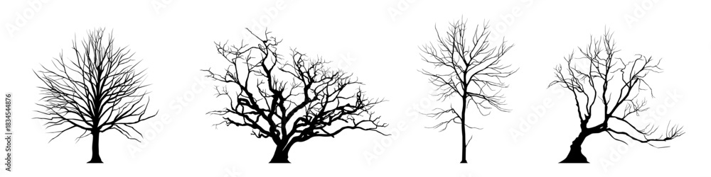 Obraz premium leafless tree silhouette. bare tree vector
