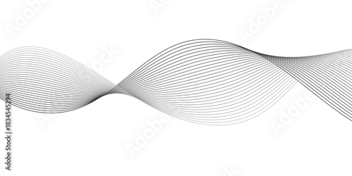 gray and white wavy curve line with digital future technology concept background. Line art striped graphic template, banner background. Vector illustration.