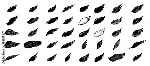 Large set of black bird wing silhouettes featuring various feather styles suitable for tattoo designs and angel logos