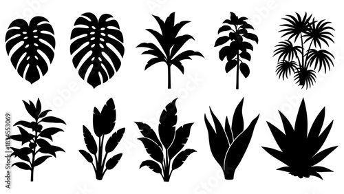 Black tropical plant and leaf silhouettes in a graphic vector style, featuring monstera, palm tree, and various jungle foliage for botanical design elements