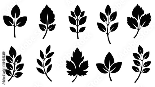 Set of ten black leaf silhouettes in various simple and complex shapes, presented as minimalist graphic icons for botanical, organic, and ecological design concepts