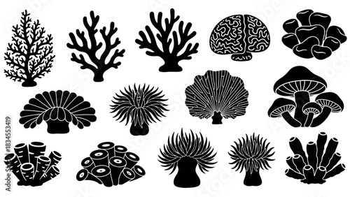 Black silhouette illustrations of coral, sea anemones, mushrooms, and sponges in a graphic icon set showing diverse forms of marine life and fungi in a minimalist style