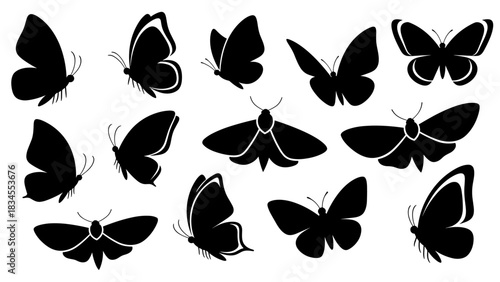 Black butterfly and moth silhouette collection showing various flying and resting poses, with different wing shapes and angles in a simple, graphic vector illustration style