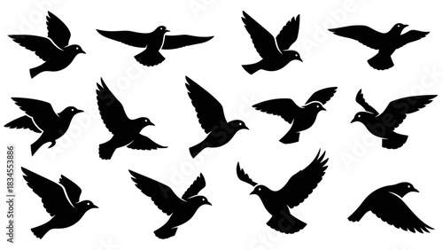 Thirteen black dove or pigeon silhouettes captured in mid-flight, showcasing a variety of graceful wing positions and dynamic movements in a clean, iconic graphic illustration set