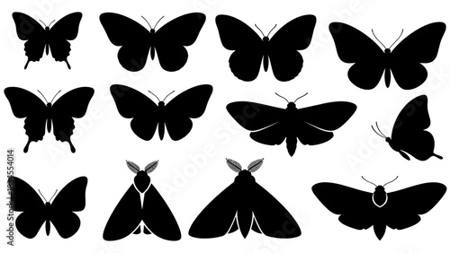 Black butterfly and moth silhouettes in a diverse collection of insect shapes, showcasing various wing patterns and species in a minimalist graphic vector style illustration