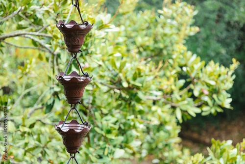 Three cups in a rain chain with green shrubs in the background.