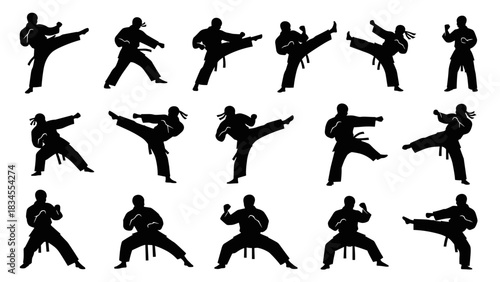 Collection of black martial arts fighter silhouettes in various dynamic kicking, punching, and combat stance poses, presented in a clean graphic illustration style