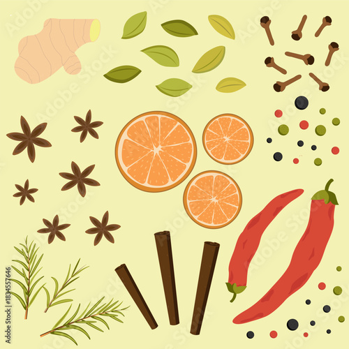 Set, spices and herbs, pepper, spicy, paprika, peppercorns, cinnamon, star anise, cardamom, dried oranges, rosemary, ginger, cloves