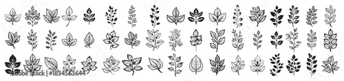 Hand drawn vector leaves and branches collection big set of botanical sketch elements floral twigs herbs and foliage icons