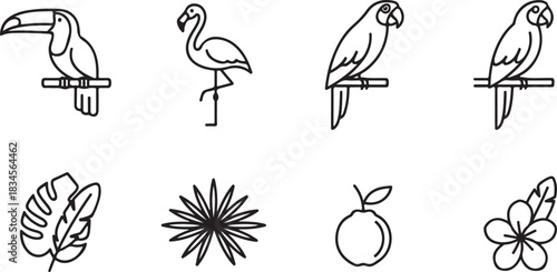 Tropical Wildlife and Plants Line Art Illustration