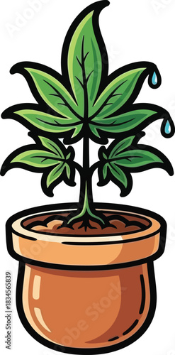 Cannabis plant vector illustration marijuana growth pot weed graphic icon isolated on transparent background, Vector