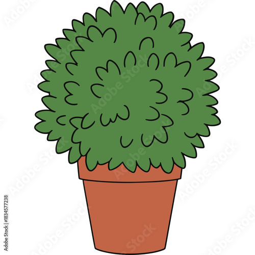 A Lush Green Round Topiary Bush in a Terracotta Pot Against a Black Background Representing Nature and Gardening