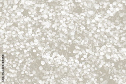 Cloud dancer toned color muehlenbeckia complexa plant background. Monochrome color background. Trendy color 2026.