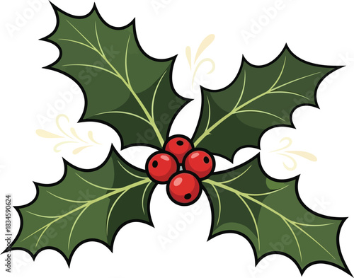 Christmas holly berries leaves vector festive winter holiday decoration isolated on transparent background, Vector