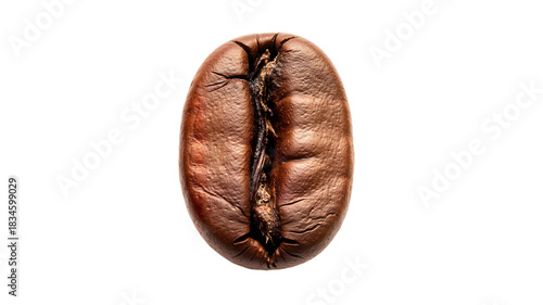 Coffee bean closeup on transparent background  