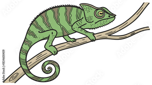 Illustration of a green chameleon with stripes perched on a brown branch with a curled tail design